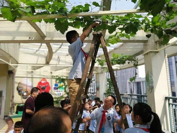 博士整形，专业重塑美丽的新时代