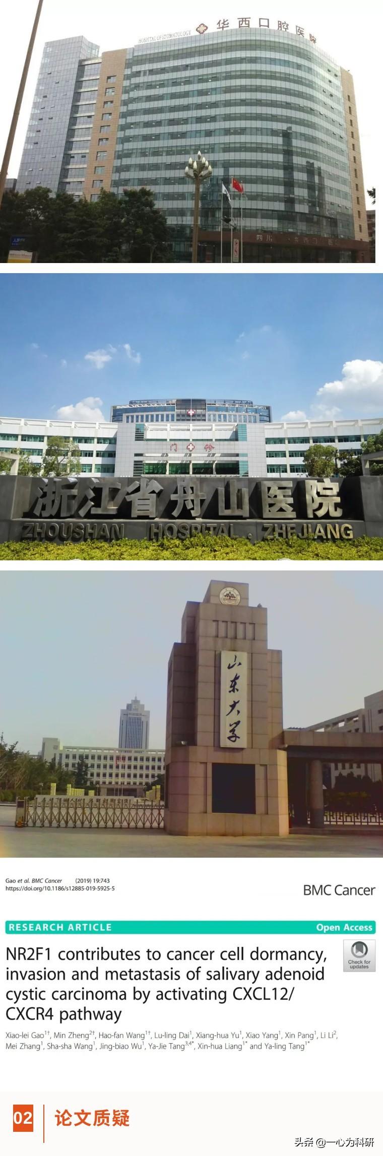 口碑最好的口腔医院，专业护理与卓越服务的典范