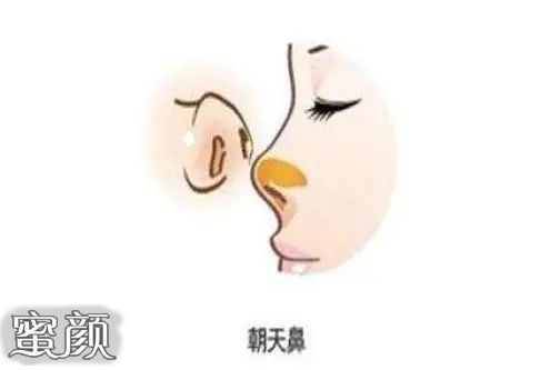 探索 第264页