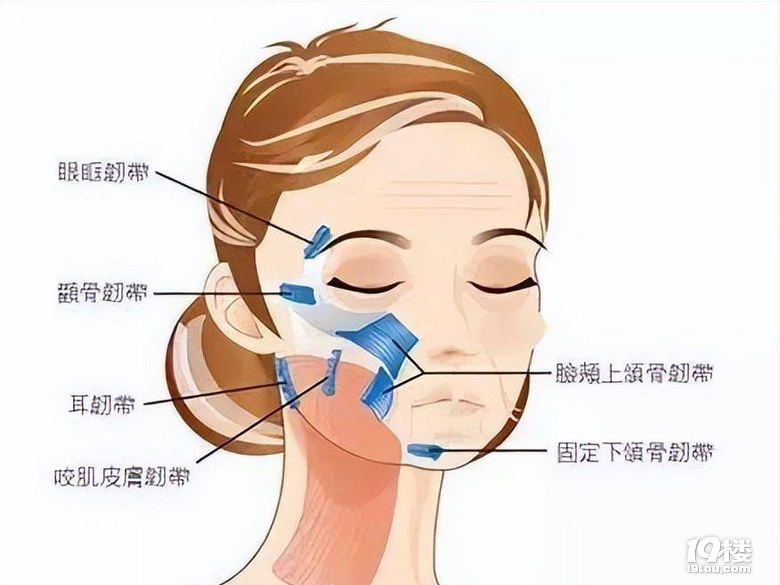 脸部筋膜提升的价格因素与考虑因素详解