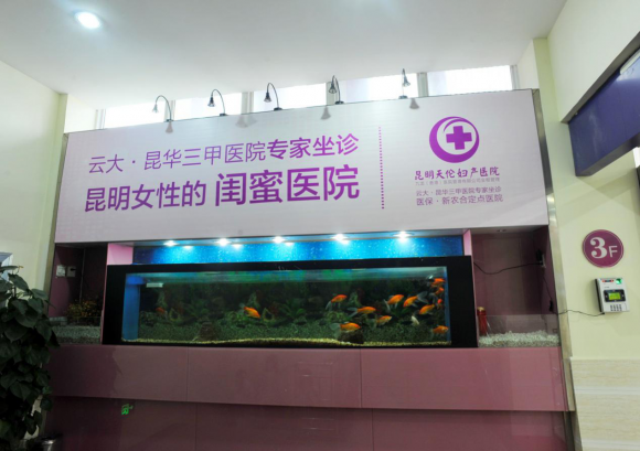 时尚 第245页