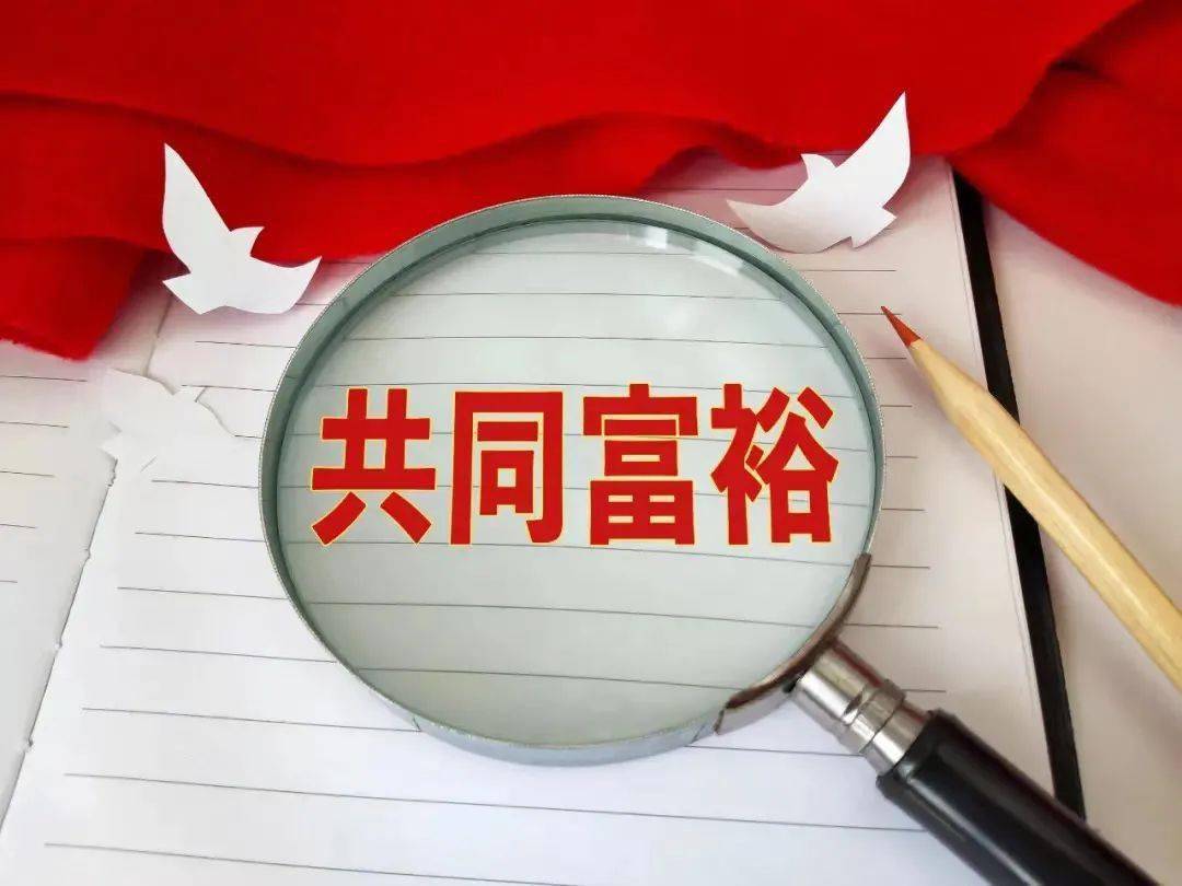 专家稳胆，揭秘310背后的精准决策之道