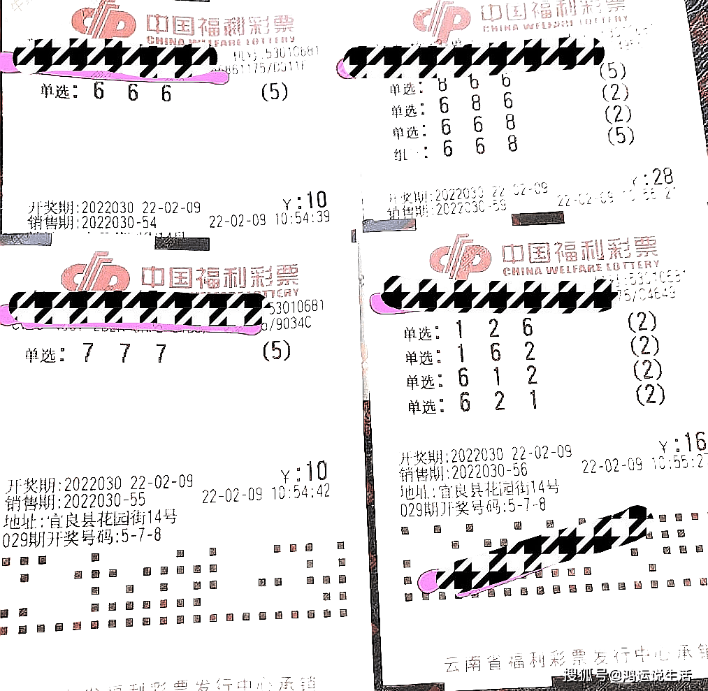 探索排列三彩票世界，彩吧论坛中的数字组合奥秘——以数字组合排列三55125为例