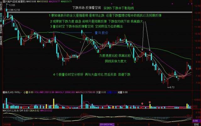 双色球走势图分析，探索连续百期的秘密与连线趋势