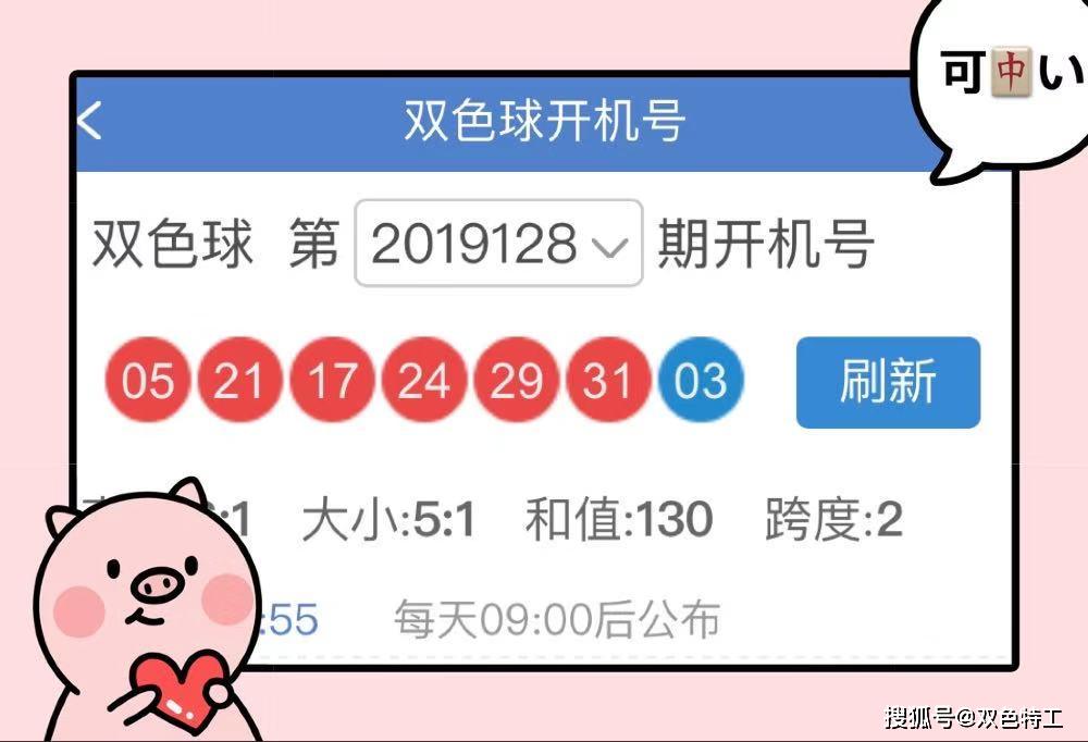 双色球往期号码查询搜索，探索历史数据的重要性与策略
