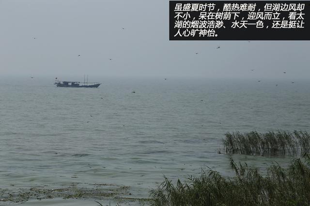 太湖图谜，探寻精品背后的神秘与魅力