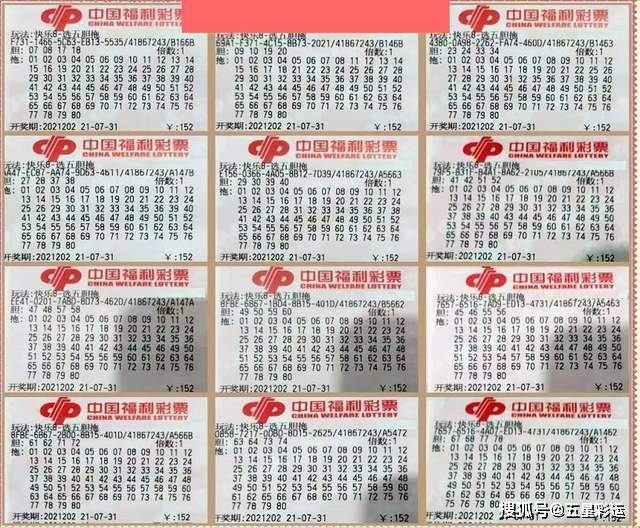 牛彩网今日福彩3D字谜总汇，探索字谜的魅力与福彩的乐趣