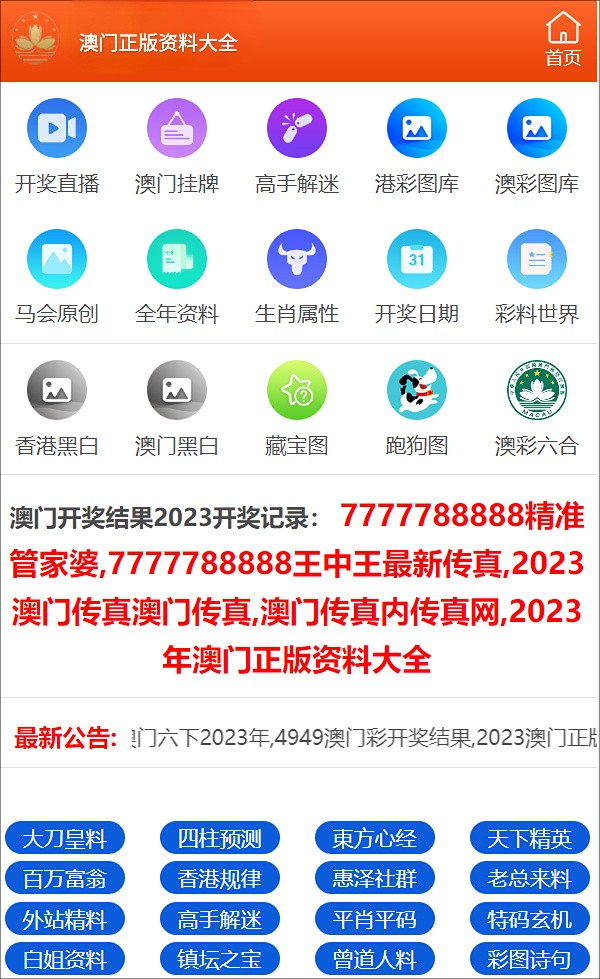 澳门最准一码100，揭秘彩票背后的秘密