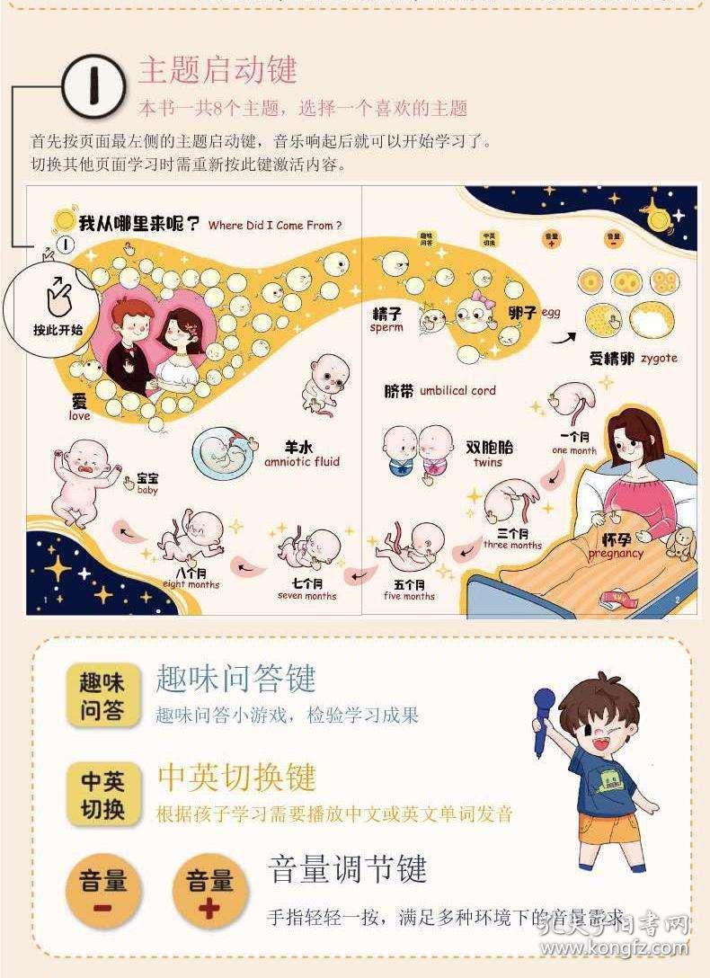 彩宝贝的3D免费预测汇总，探索未来的神秘之旅