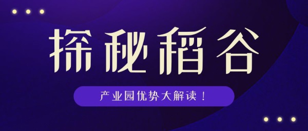 探索竟彩网首贝，引领新时代的网络竞技体验