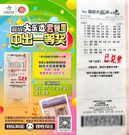 大乐透胆拖投注中奖查询，探索彩票投注的奥秘与乐趣