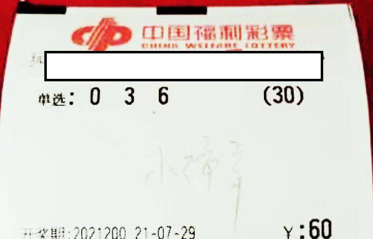 今晚特马开什么号，揭秘彩票背后的故事与启示——第103期的期待与深思
