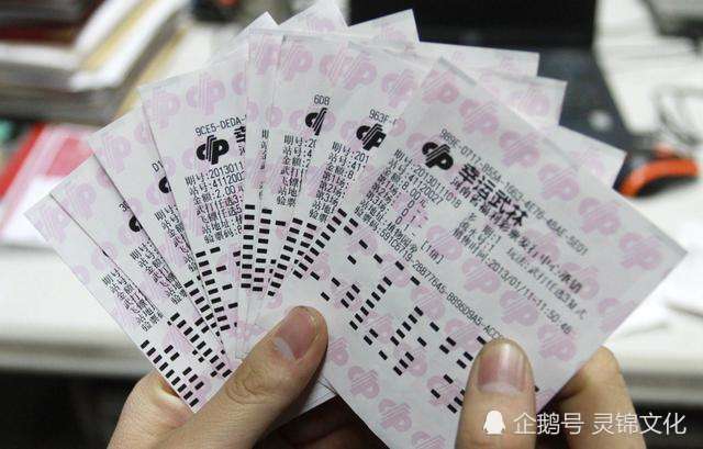 双色球漏洞真实事件揭秘