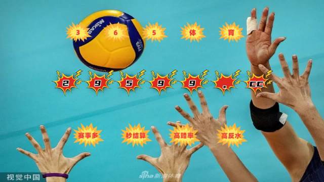 足彩胜负彩的魅力，探索神秘的数字310
