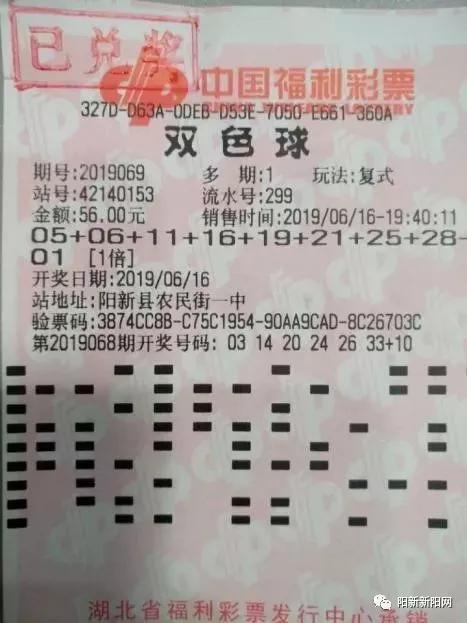体彩排列3双彩论坛总汇，探索彩票世界的智慧与激情