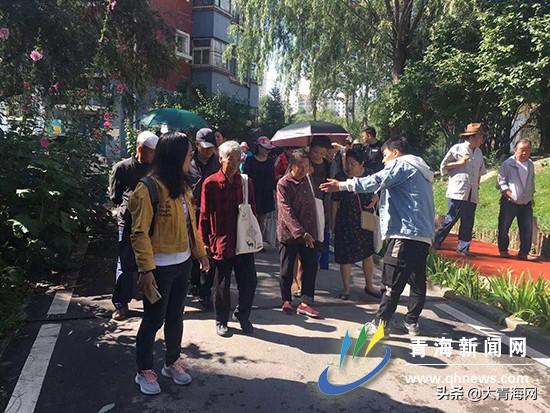 彩平台，探索新时代的多元化服务与体验