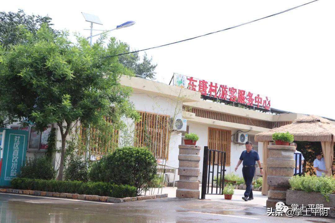 玫瑰之韵，33朵与52朵的浪漫故事