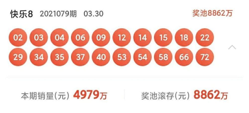 开奖结果分析