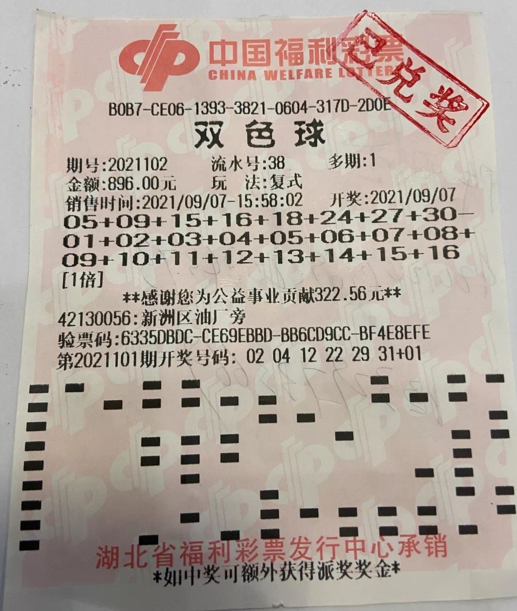 双色球2013年首期开奖号码结果，幸运与命运的交织