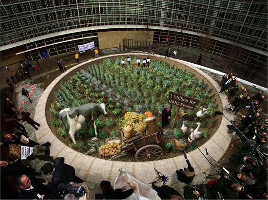 数字时代下的立体艺术之旅，探索数字3D画与立体画的世界