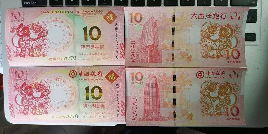 澳门生肖彩资料为什么看不了
