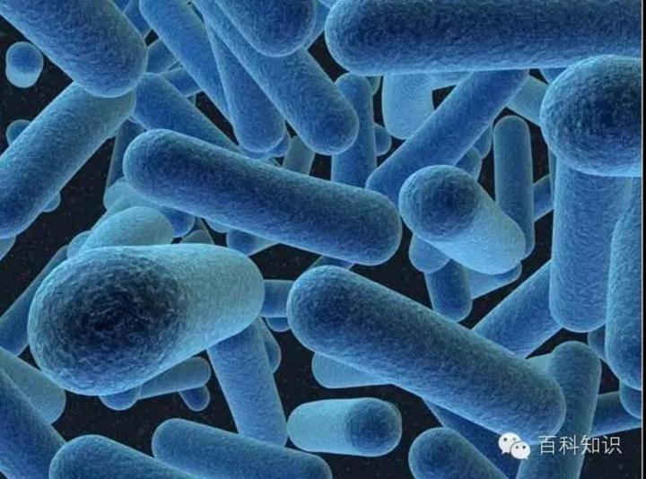美国16人感染李斯特菌症状