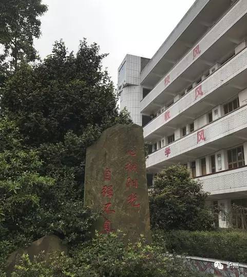 太伏中学真实事件