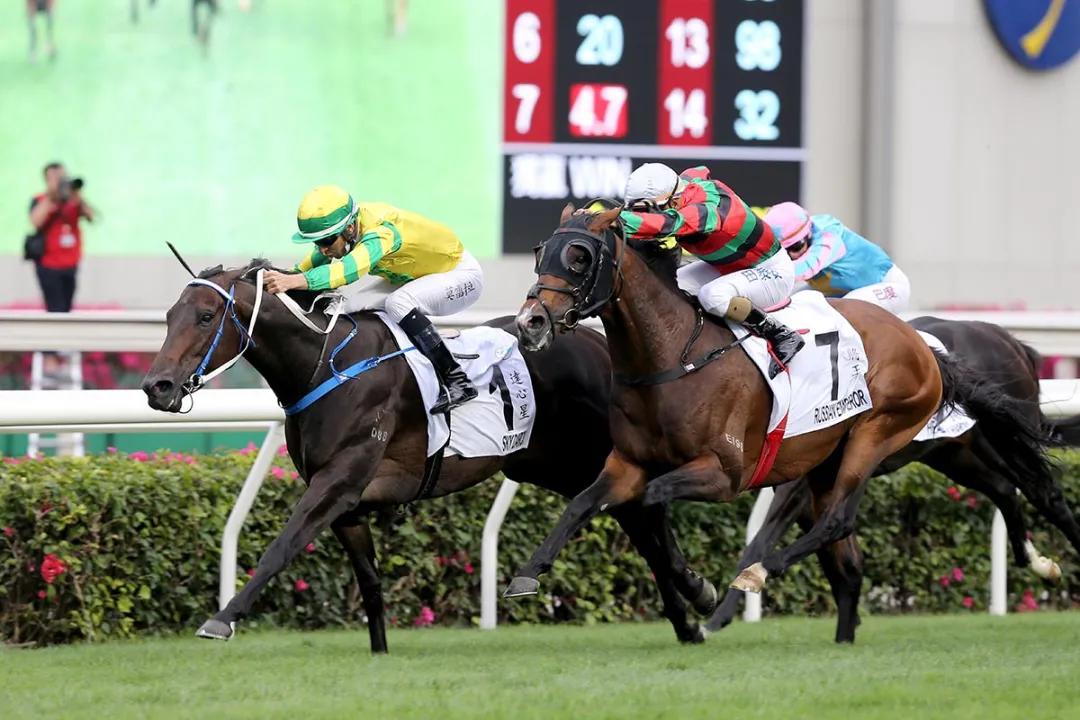 香港马会2019开奖结果历史记录
