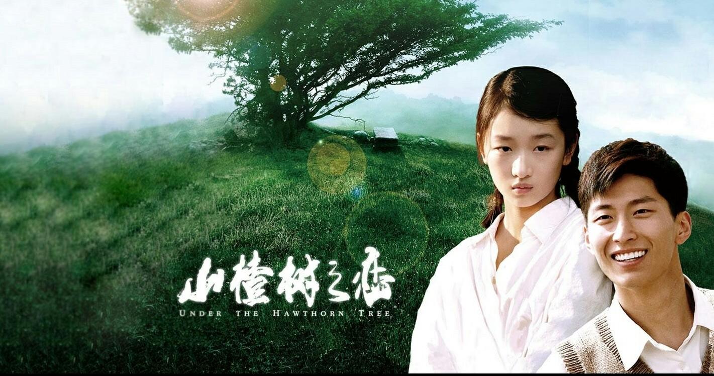 红姐情感直播是真的吗