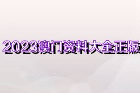 2023年澳门正版资料大全公开软件特色