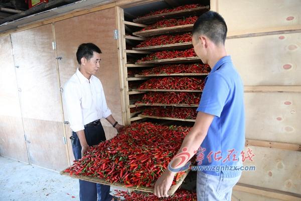 王中王资料精选大全综合资料
