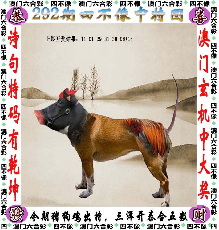 四不像王中王论坛,王中王手机站
