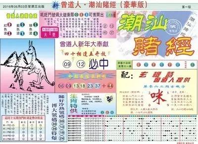 白小姐一肖一码 中特期期准资料