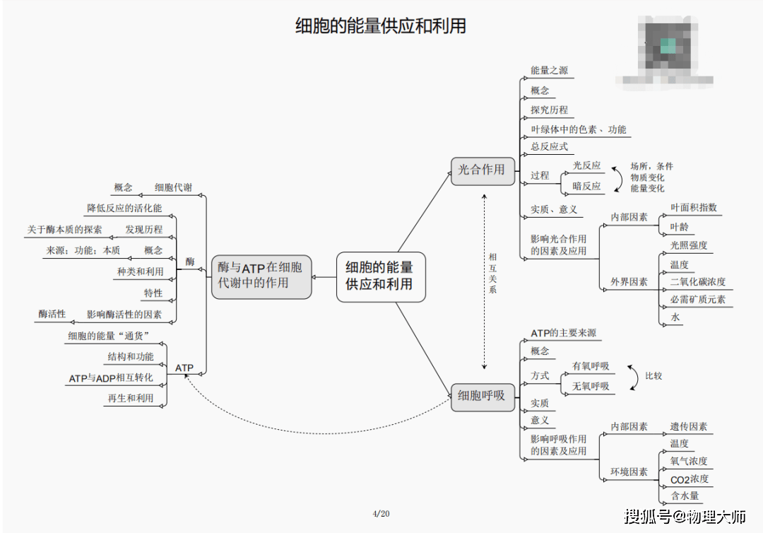管家婆精选三期内必开生肖