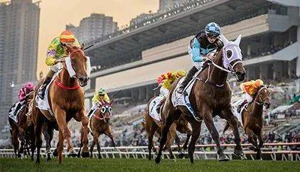 香港马会2019 开奖结果历史记录