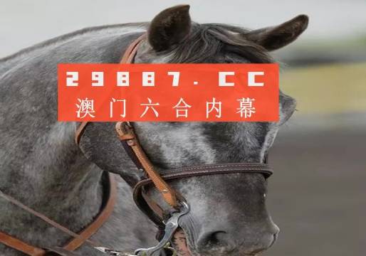 澳门一码一特一中准选今晚