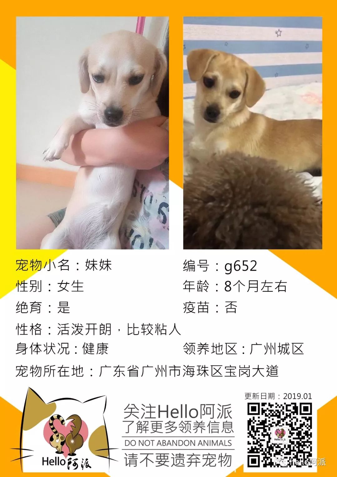 知识 第63页