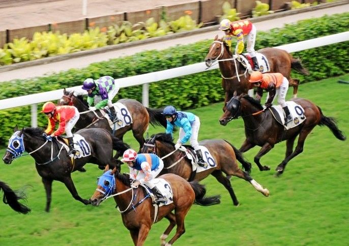 香港赛马会资枓大全2021