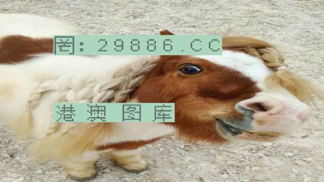 焦点 第54页