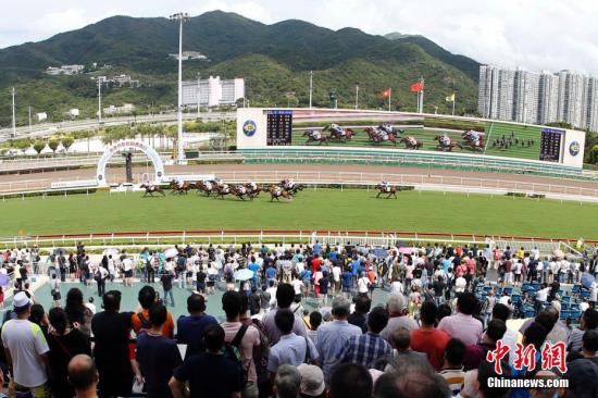 蓝月亮香港正版资料大全2015年