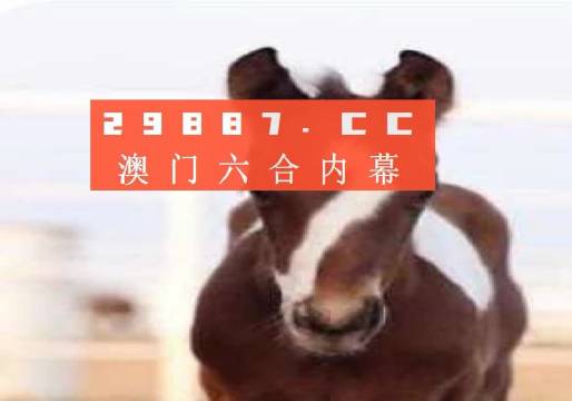 澳门一码一码100准确高速解