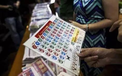 香港开奖记录结果今天开什么