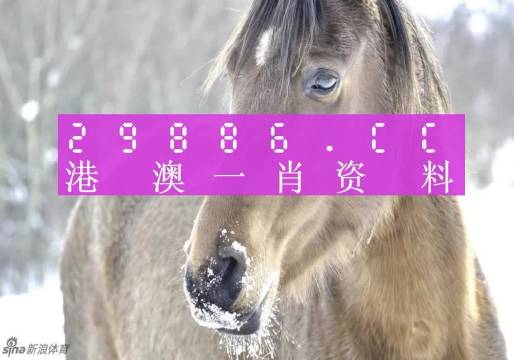 澳门一肖一码100%期期精准/98期油头光棍打一生肖