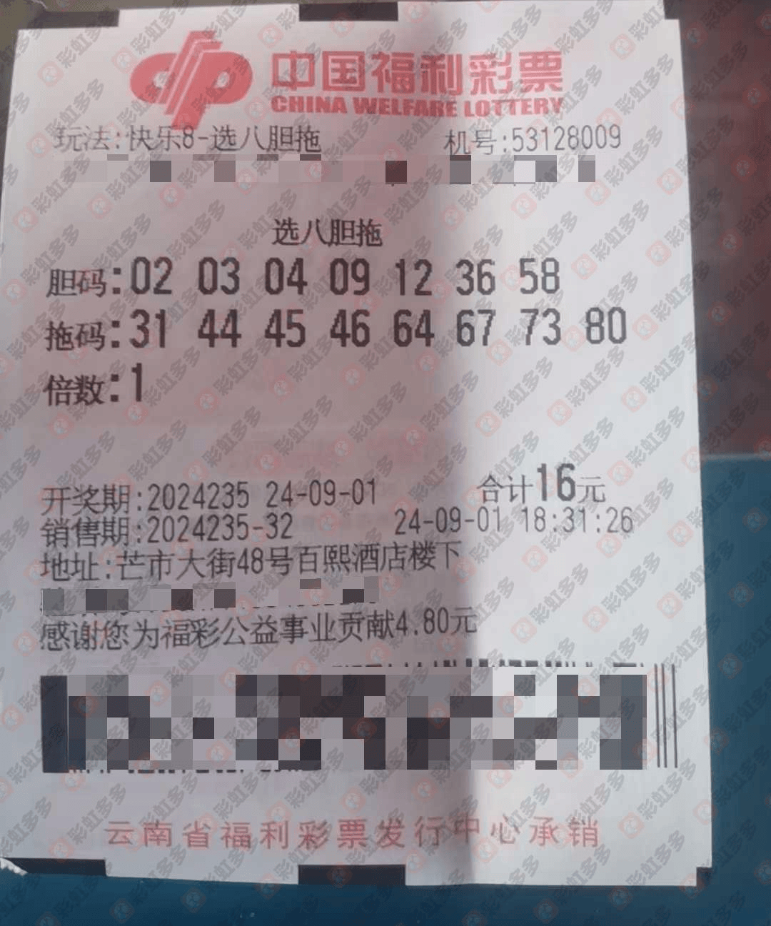 新澳门彩票开奖结果今日查询，最新预测分析与视频汇总新澳门开奖